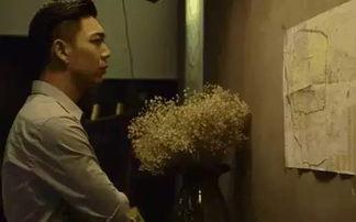 国产国语毛片,揭秘国产影视作品的独特魅力  第3张