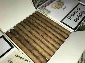 国产雪茄购买网站,探索国内顶级雪茄品牌之旅  第2张