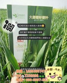 久久国产青,久久青生成新时代文化新风尚  第1张