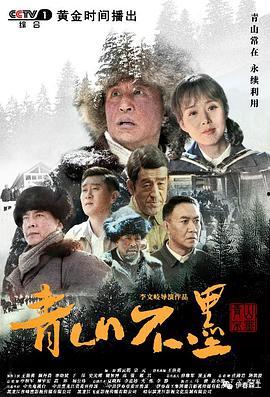 国产高清片,视觉盛宴中的文化传承与创新  第1张