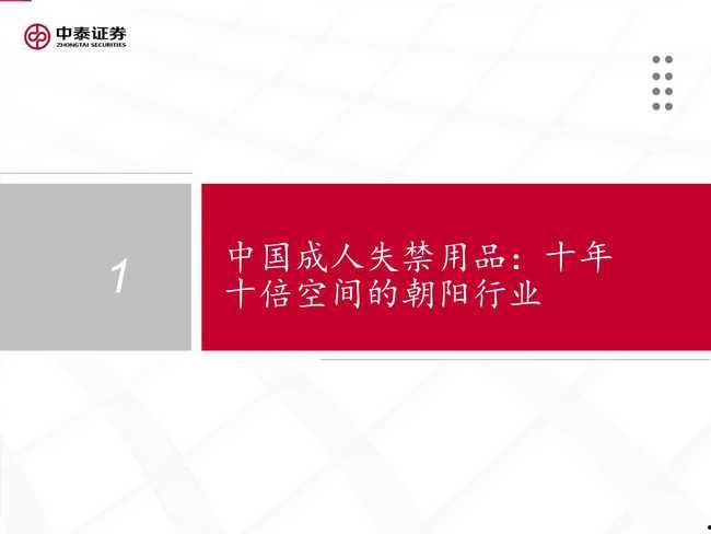国产37页,深度解析我国科技发展的新篇章  第1张
