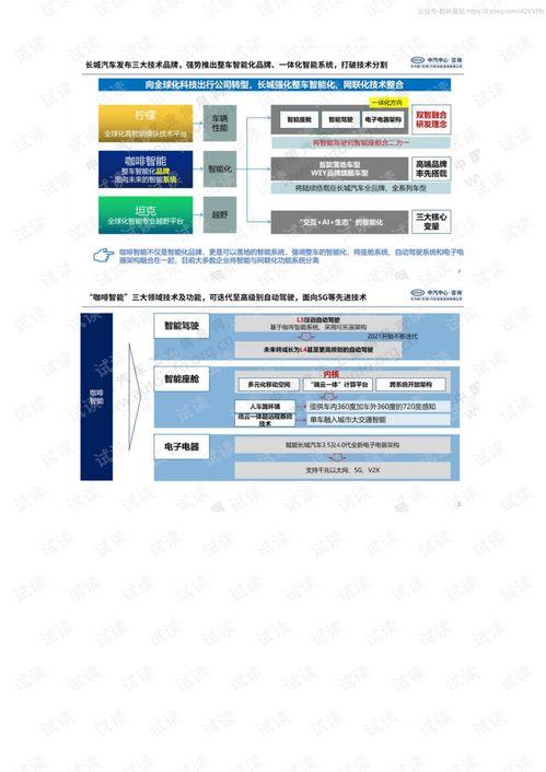 国产16页,揭秘我国创新科技发展的新篇章  第3张